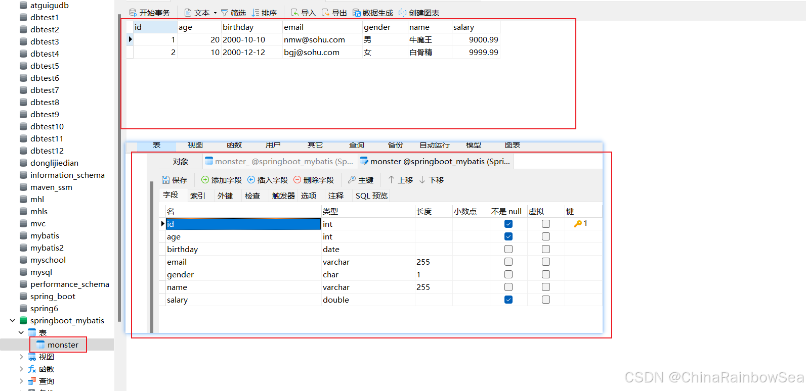 十七，Spring Boot 整合 MyBatis 的详细步骤(两种方式) - Rainbow